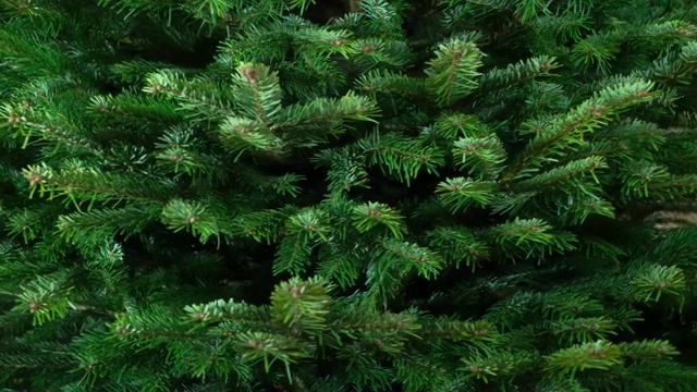 绿色圣诞树的旋转视频素材