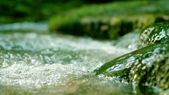 SLO MO森林中的小溪流水视频下载