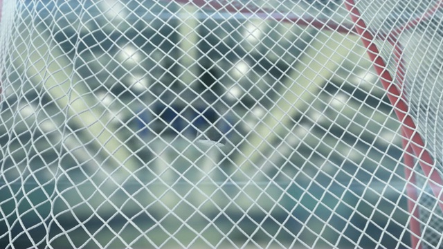 美丽的冰球飞进大门网在球场背景的慢动作。特写进球时刻。3d动画运动概念。视频素材