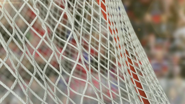 美丽的冰球飞进球门网在球迷背景的慢动作。冰球3d动画的特写进球时刻。体育的概念。视频素材