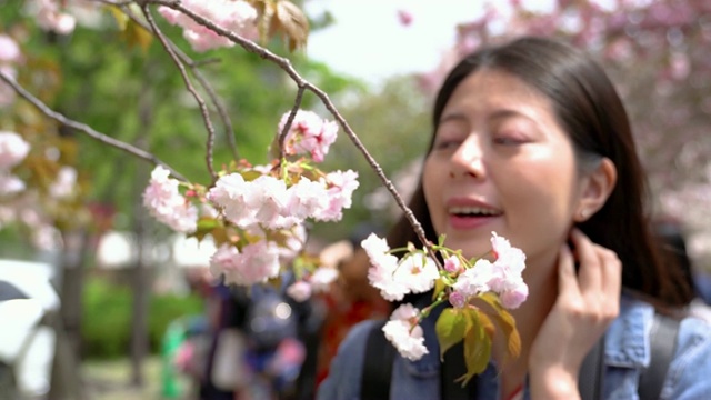 一个女人闻到的樱花味视频素材