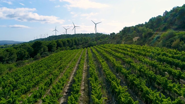 鸟瞰图葡萄园与风力涡轮机的背景视频素材