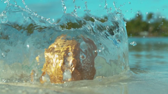 MACRO:在海滩上着陆后，透明的水溅在棕色椰子周围。视频下载