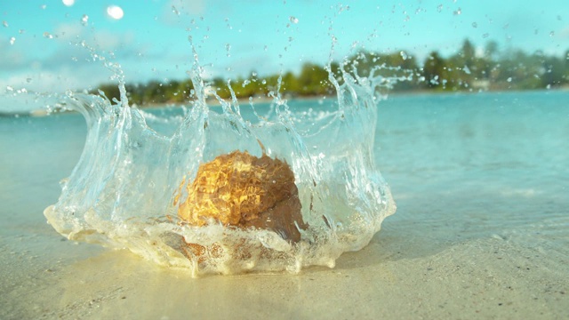 慢镜头:毛茸茸的椰子从树上掉下来，落在清澈的水中。视频素材