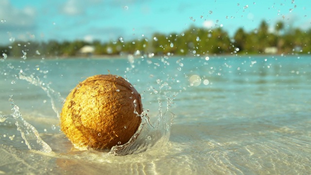 MACRO, DOF:椰子掉进白色沙滩上清澈的海水里。视频素材