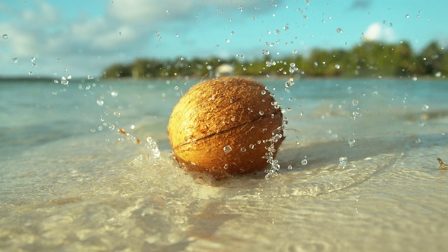 棕色的椰子掉进了覆盖着田园般的海岸线的浅水里视频素材