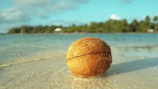 慢镜头:椰子从树上掉下来后，清澈的海水溅得到处都是视频素材