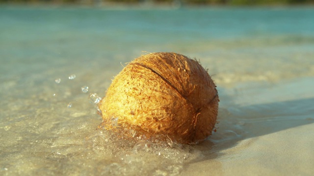 慢镜头:轻柔的海浪冲刷着粘在沙滩上的浅棕色椰子。视频素材