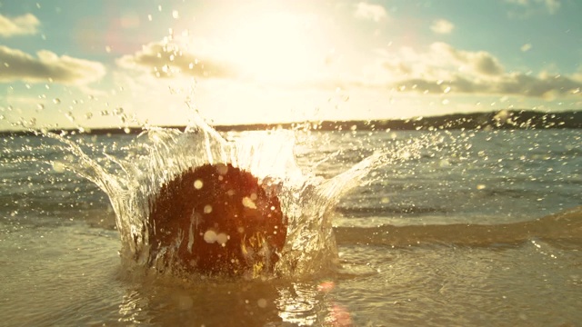 慢镜头:金色的黄昏阳光照射在落入海中的毛茸茸的椰子上视频素材