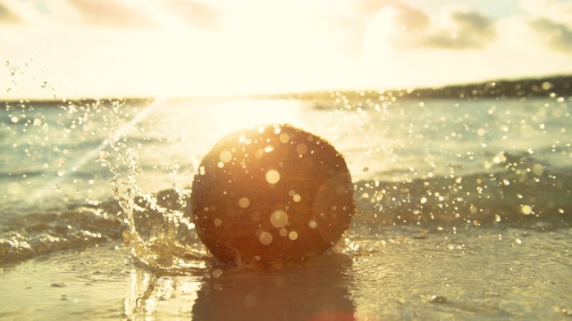 镜头光晕:在田园诗般的阳光明媚的夜晚，棕色的椰子落入浅海中。视频素材