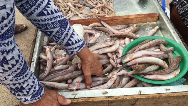 街市上出售的新鲜鱼类视频素材