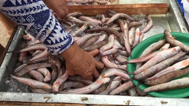 街市上出售的新鲜鱼类视频素材