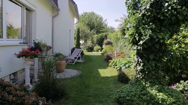 阳光灿烂的后院花园与郁郁葱葱的绿色植物生命视频下载