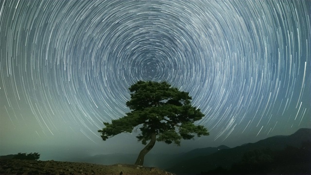 江原道正城郡的时间胶囊公园里的一棵带星径的松树夜景视频下载