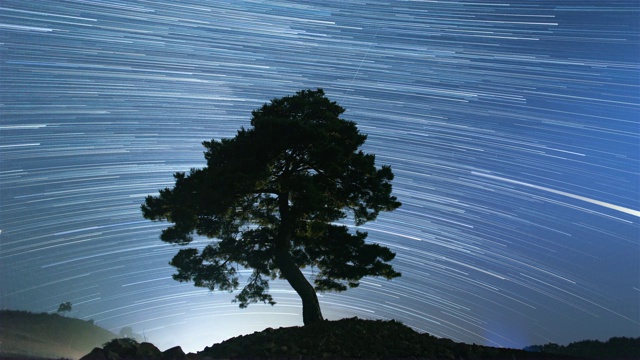 江原道正城郡的时间胶囊公园里的一棵带星径的松树夜景视频素材