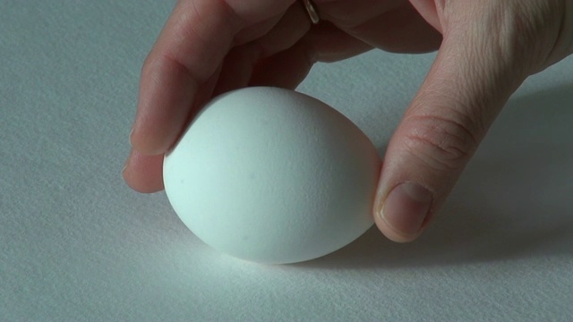 白色的鸡蛋视频素材