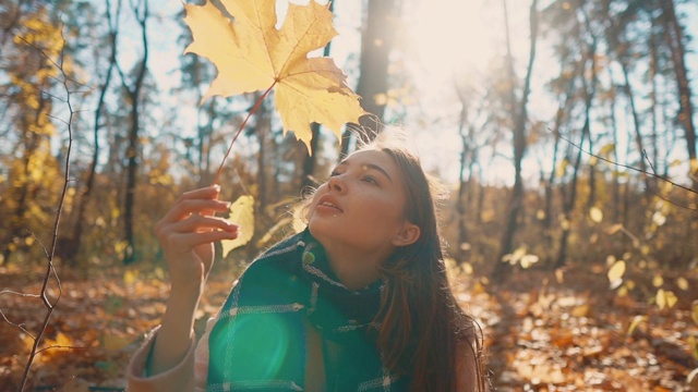 微笑的女孩坐在阳光明媚的秋天森林里看着枯叶视频素材