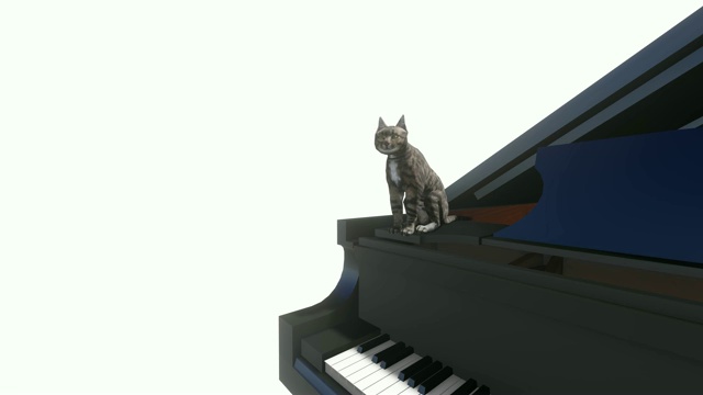 小猫坐在钢琴上洗白视频素材