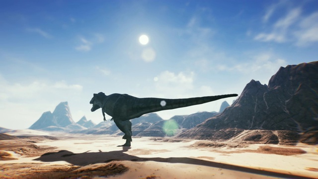 沙漠中的雷克斯霸王龙恐龙动画。现实的呈现。4 k。视频下载