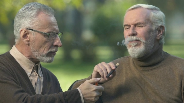 老年男性闪电雪茄给最好的朋友，男人在公园长凳上休息视频下载