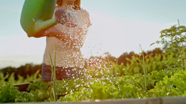 SLO MO女人在花园浇水视频下载