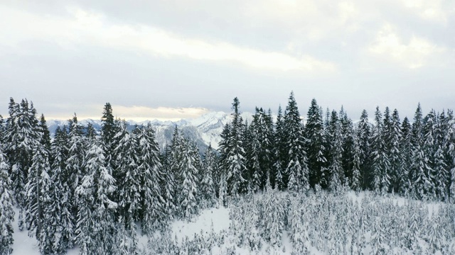 冬雪无人机飞越树远的山顶在日落下雪视频下载