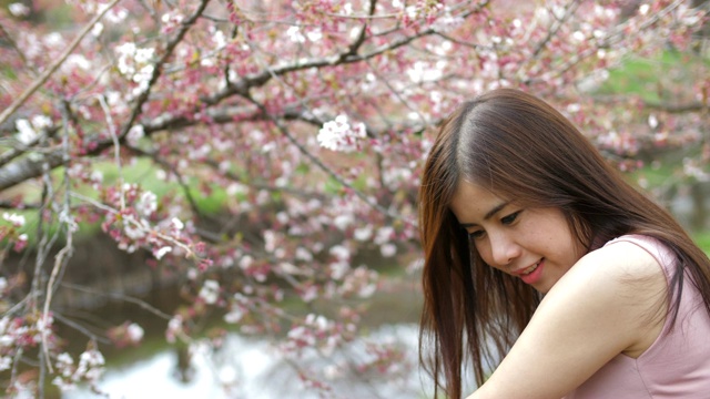 害羞的女人与樱花-慢镜头视频下载