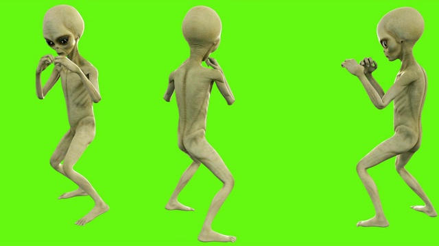 外星人战斗。绿色屏幕上的可循环动画。4 k。视频素材