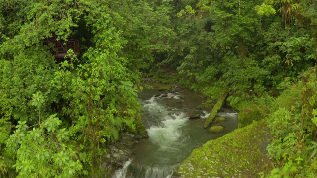 航拍:美丽的瀑布在郁郁葱葱的丛林中视频素材