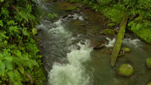 航拍:茂密的绿色迷雾丛林中的巨大瀑布视频素材