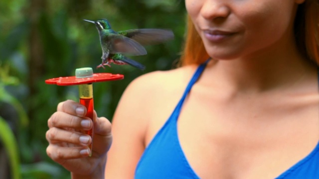 慢镜头:美丽的女人拿着蜂鸟的饮水器视频下载