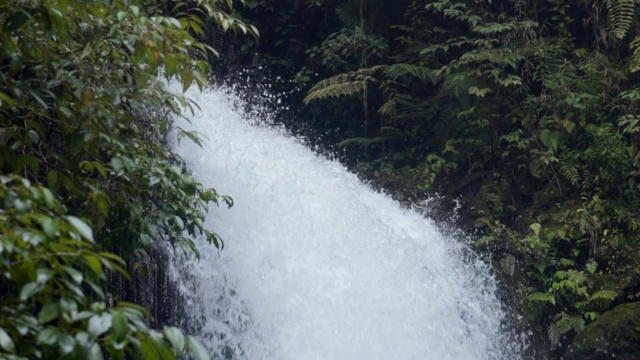 慢镜头:美丽雨林中的瀑布视频素材
