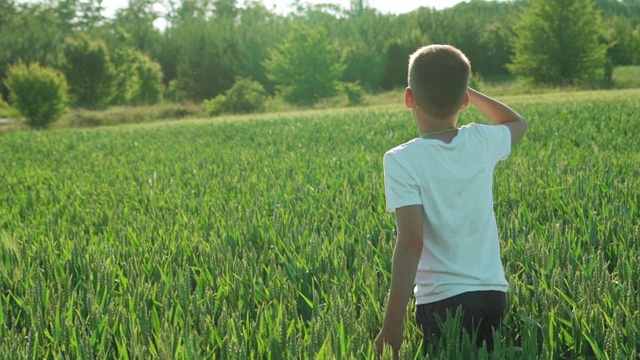 一个在夏天度假的孩子背着背走过麦田，欣赏着周围如画的风景。视频素材