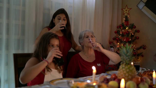 祖母和孙女的肖像在圣诞晚餐视频素材