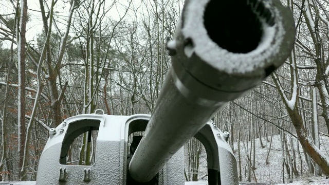 在冬季森林降雪期间旋转大炮视频下载