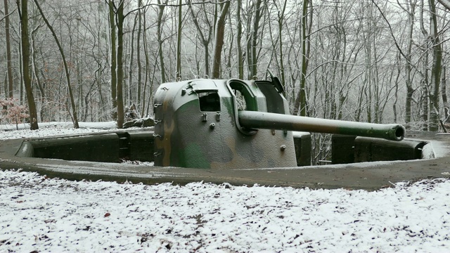 在冬季森林降雪期间旋转大炮视频下载