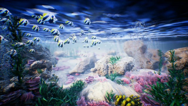 水下的海浪波纹和热带鱼。Loopable视频下载