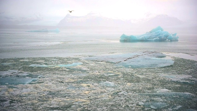 冰岛北极自然景观中的冰山和冰川。视频下载