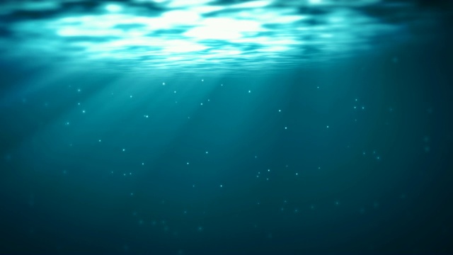水下sceen。看看我的其他水下和海景动画视频下载