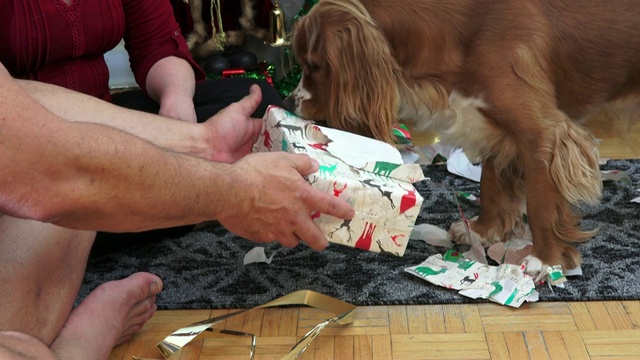 圣诞节传统活动:现实生活中的家庭在12月打开礼物视频下载