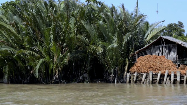 越南Mokong三角洲的水渠视频素材