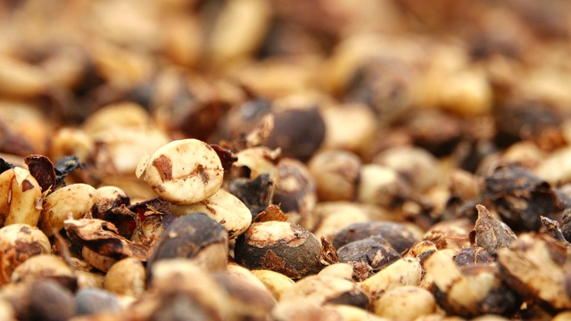 天然脱水发酵咖啡豆视频素材