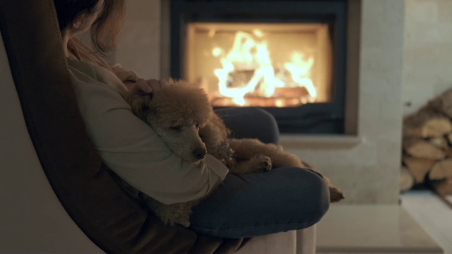 一个年轻女人和她的狗坐在家里的壁炉旁。视频下载