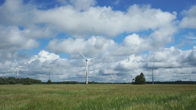 有机作物和风力涡轮机。绿色的麦田，蓝天，白云和风车。收获自然环境，生态理念视频素材