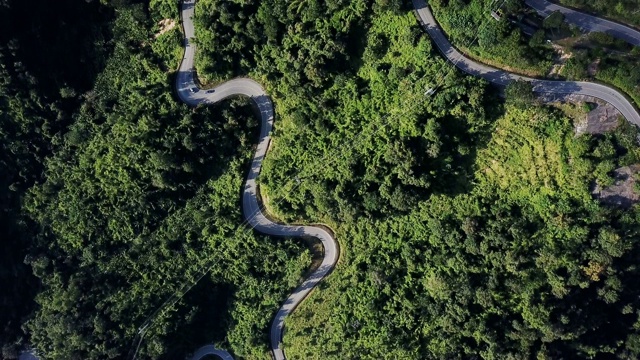 鸟瞰图森林中的道路视频素材