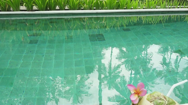 热带水果和可可在热带度假村的游泳池视频下载