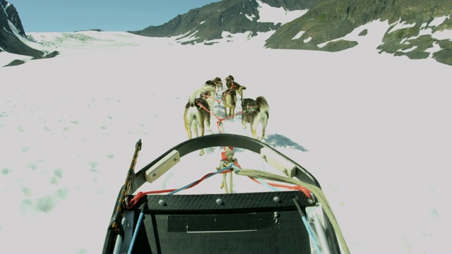 POV雪橇犬训练员工作犬队美国视频素材