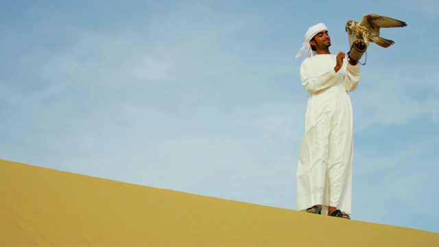 栓住的鸟类猎物阿拉伯猎鹰手腕沙漠迪拜视频素材