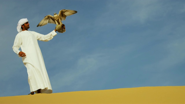 游隼平衡阿拉伯男性猎鹰手套沙漠视频下载
