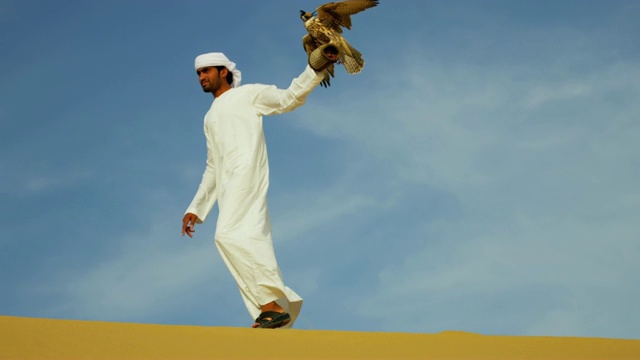 游隼平衡阿拉伯男性主人手套沙漠沙丘视频素材